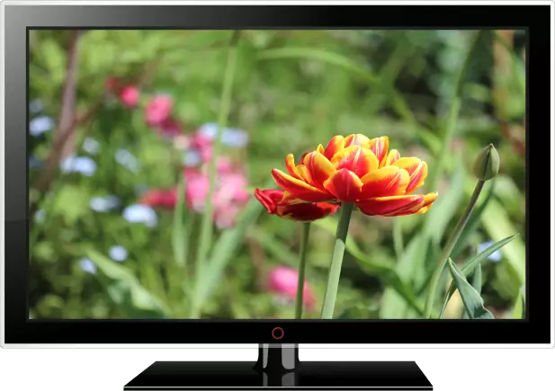 LED Телевизор 22" ED 2200 LD LED Телевизор 22" ED 2200 LD